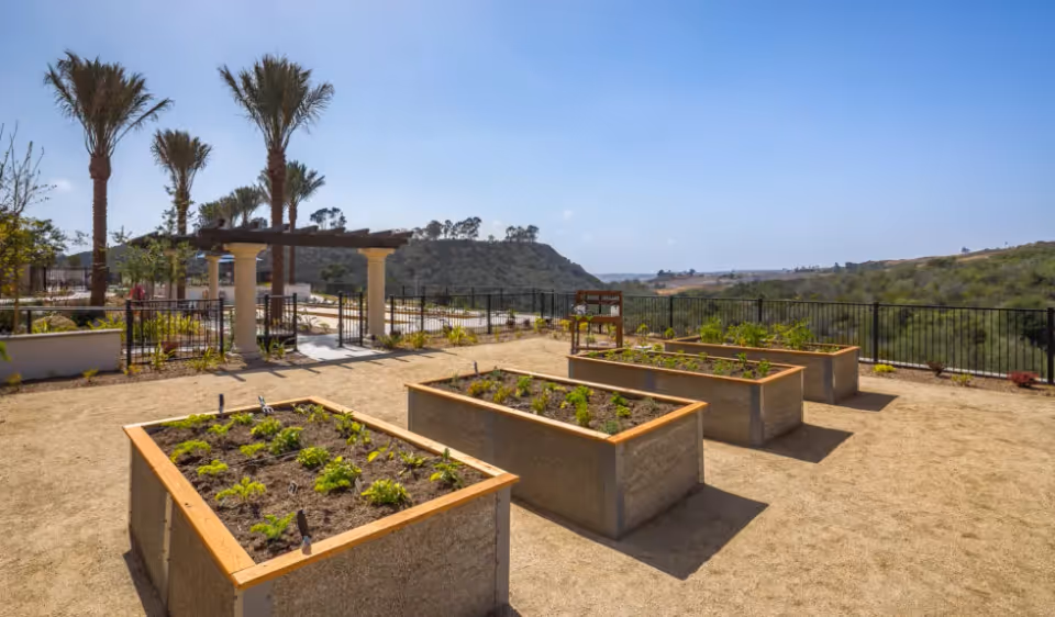 Outdoor garden area with four raised planting beds containing small plants, surrounded by a sandy ground. There are palm trees, a pergola structure, and a scenic view of hills and clear blue sky in the background.