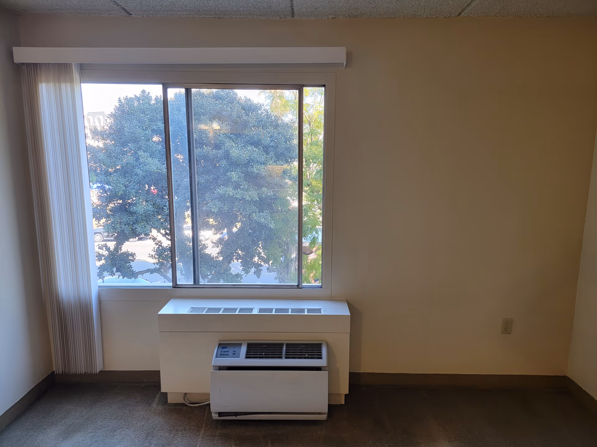 Empty room with a large window showing trees outside. Below the window is a heating and air conditioning unit. The walls are plain and light-colored, and the floor is carpeted.