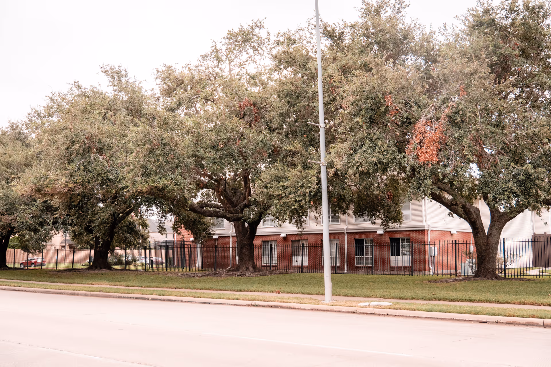 Exterior view of a senior living facility with large trees and a black metal fence in front of a two-story building with red brick and beige siding.