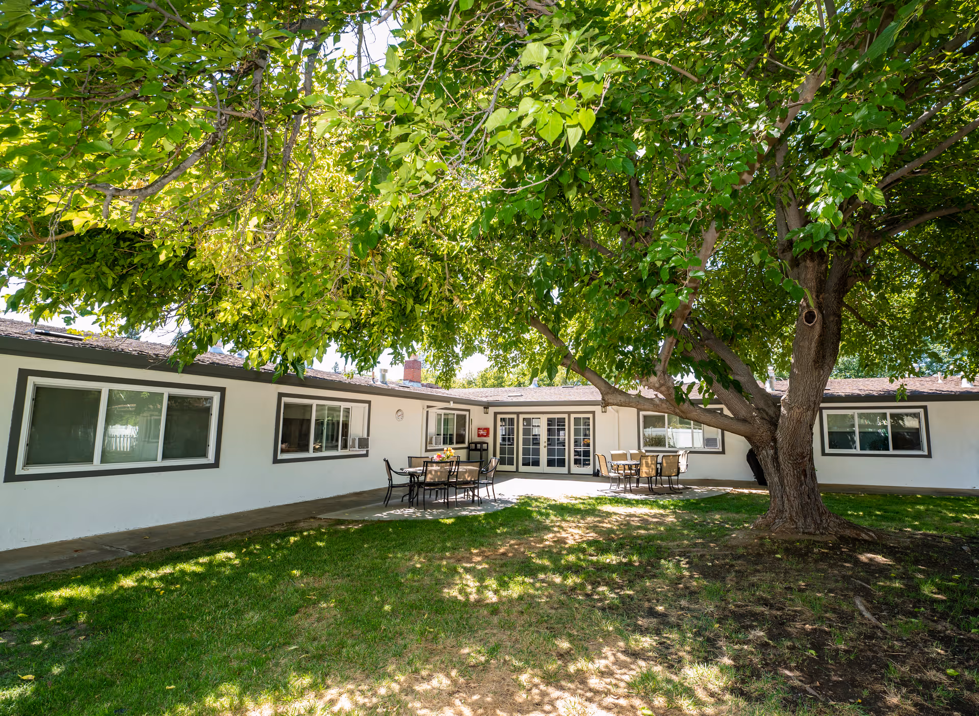 Outdoor courtyard area at Brentwood Post-Acute featuring a large tree with abundant green leaves providing shade over a grassy lawn. There are two patio seating areas with tables and chairs on a concrete patio adjacent to a single-story white building with multiple windows and glass doors.