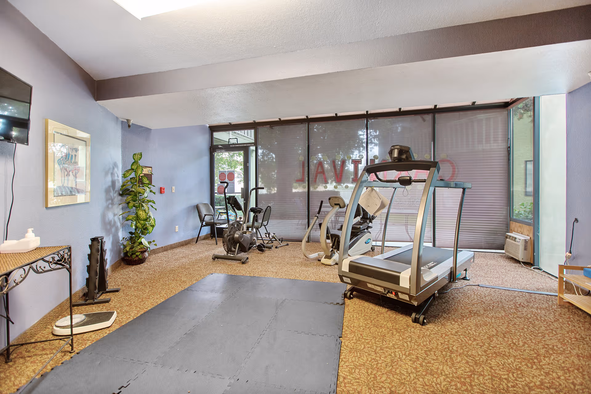 Interior view of a fitness room with exercise equipment including a treadmill, stationary bikes, and an elliptical machine. The room has blue walls, a carpeted floor with a black exercise mat, a potted plant, a wall-mounted TV, and large windows with blinds partially closed.
