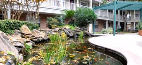 Outdoor courtyard with a pond, rocks, greenery, and a building with balconies.