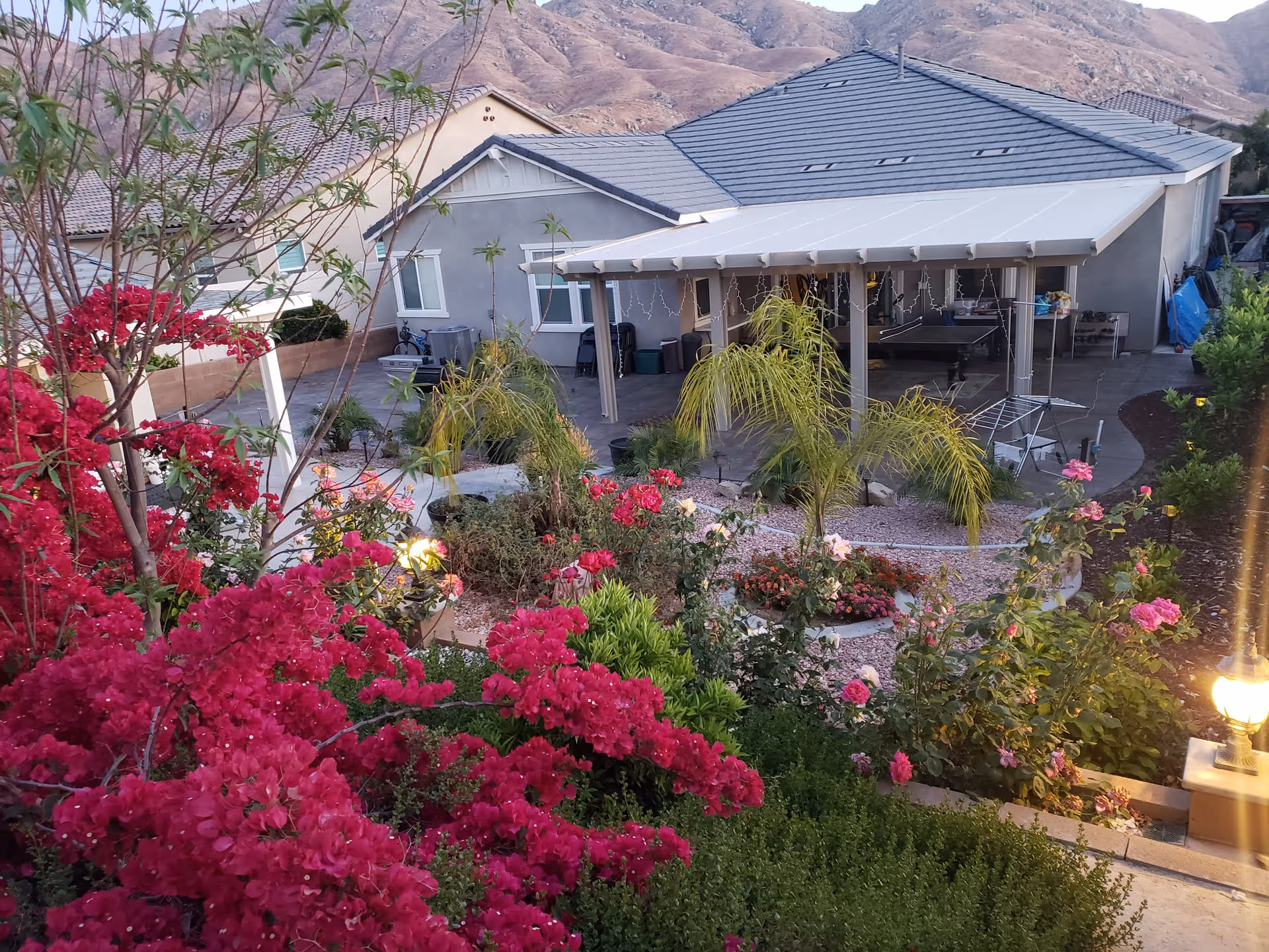 A backyard garden area with vibrant pink and red flowers, small palm trees, and other greenery. In the background, there is a covered patio attached to a house with a mountain range visible behind the house.