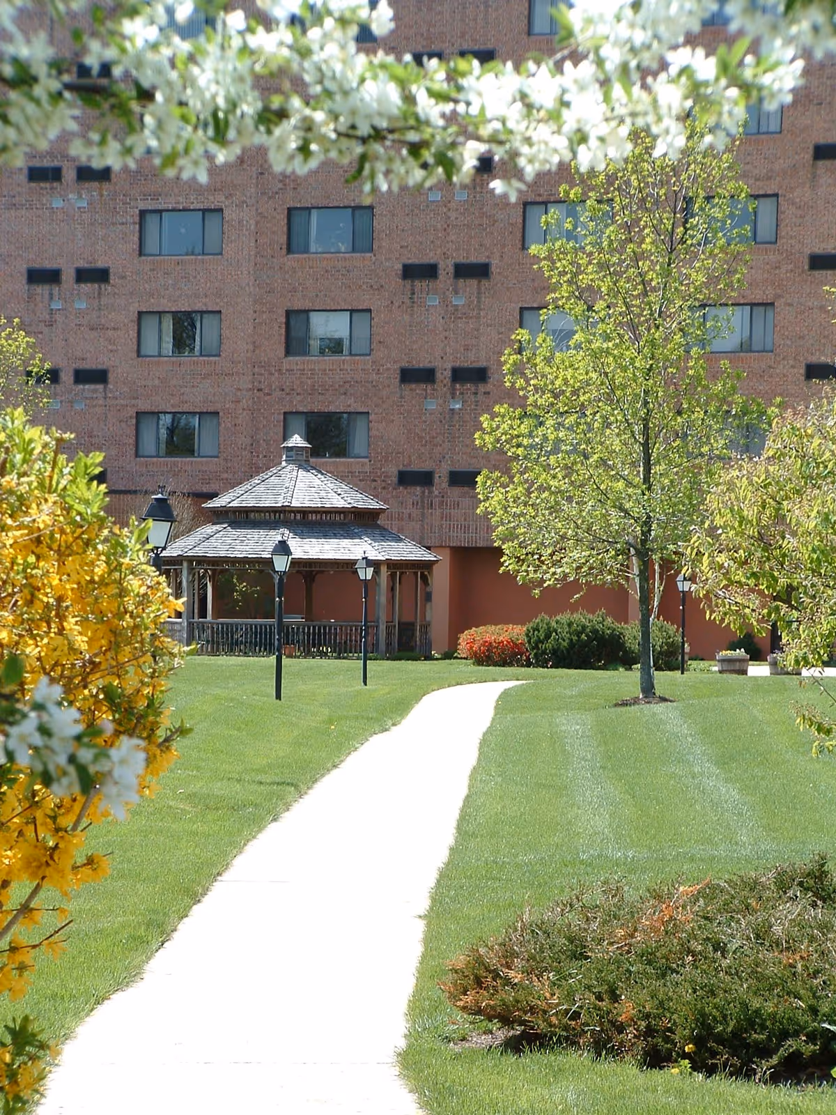 A paved walkway leads through a well-maintained green lawn with trees and bushes on either side, towards a wooden gazebo. In the background, there is a multi-story brick building with several windows. The scene is bright and sunny with blooming white flowers visible at the top and yellow flowers on the left side.