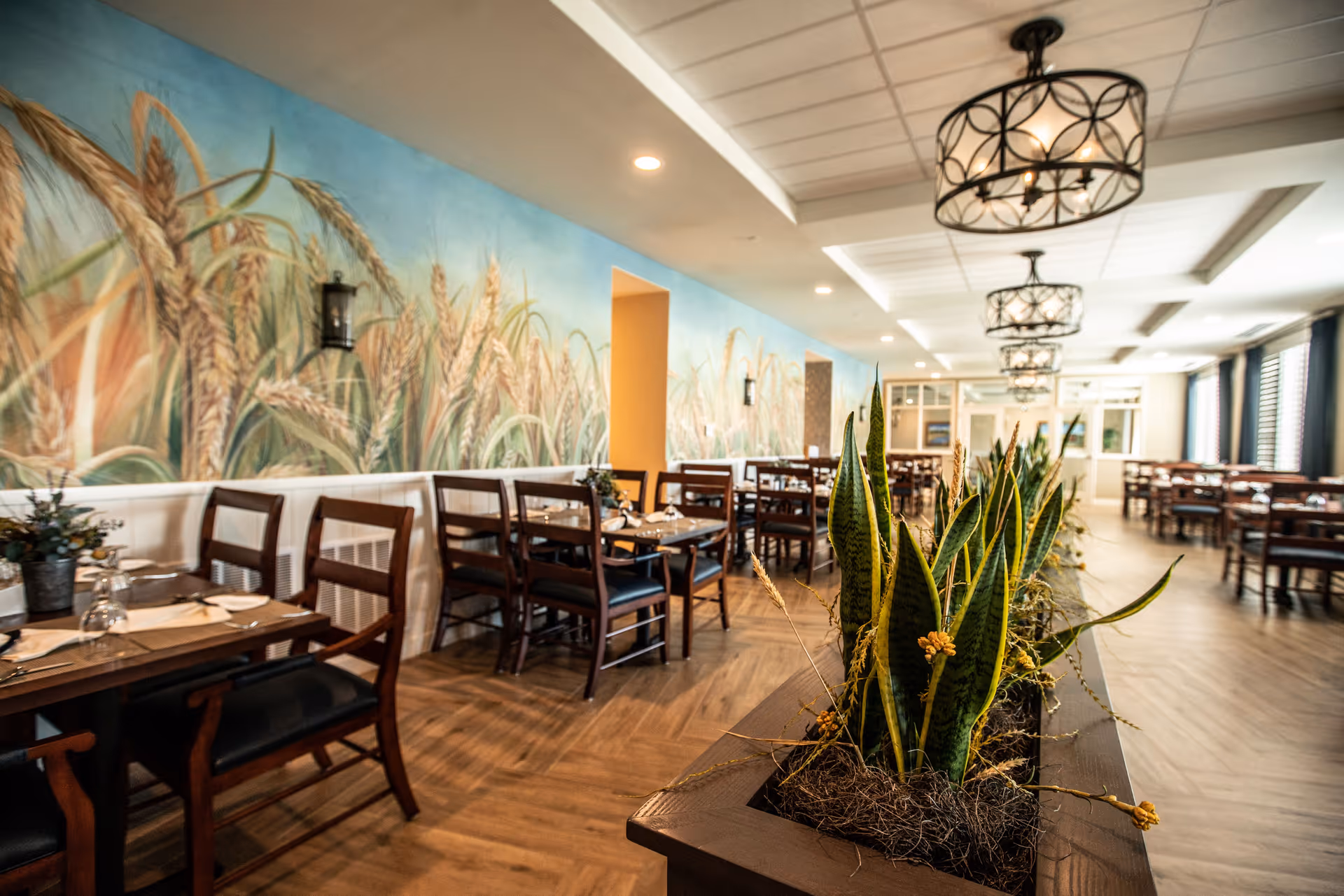 A spacious dining room with wooden tables and chairs arranged neatly. The walls feature a large mural of wheat fields, and there are decorative plants in a planter in the foreground. The ceiling has modern light fixtures, and large windows with curtains allow natural light to enter the room.
