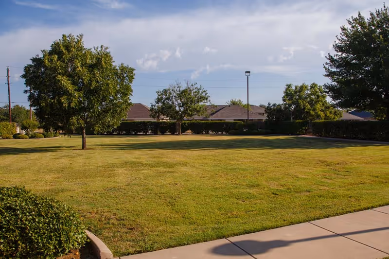 A well-maintained grassy lawn with several trees and bushes, bordered by a sidewalk and a hedge. In the background, there are rooftops of buildings and a partly cloudy sky.