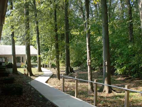 Sunlit forested walkway beside a building with railing and trees.