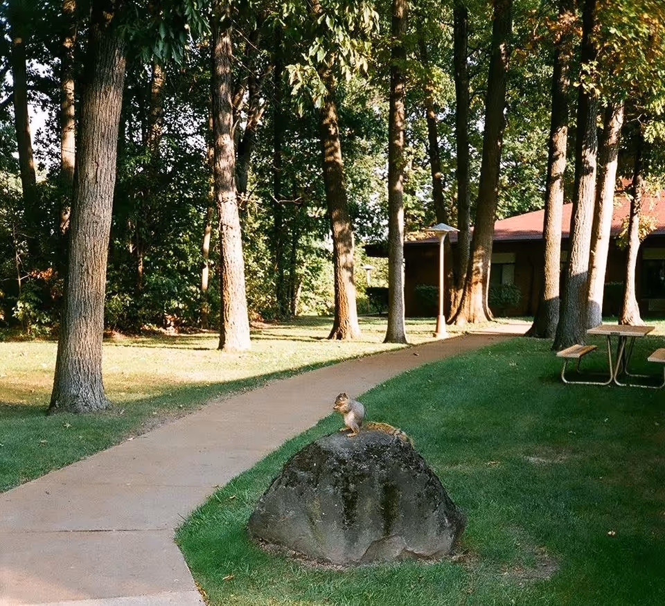 A peaceful outdoor scene at Lourdes Senior Community featuring a paved walking path winding through a grassy area with tall trees. A squirrel is perched on a large rock near the path. In the background, there is a building with a red roof and a picnic table with benches on the grass.