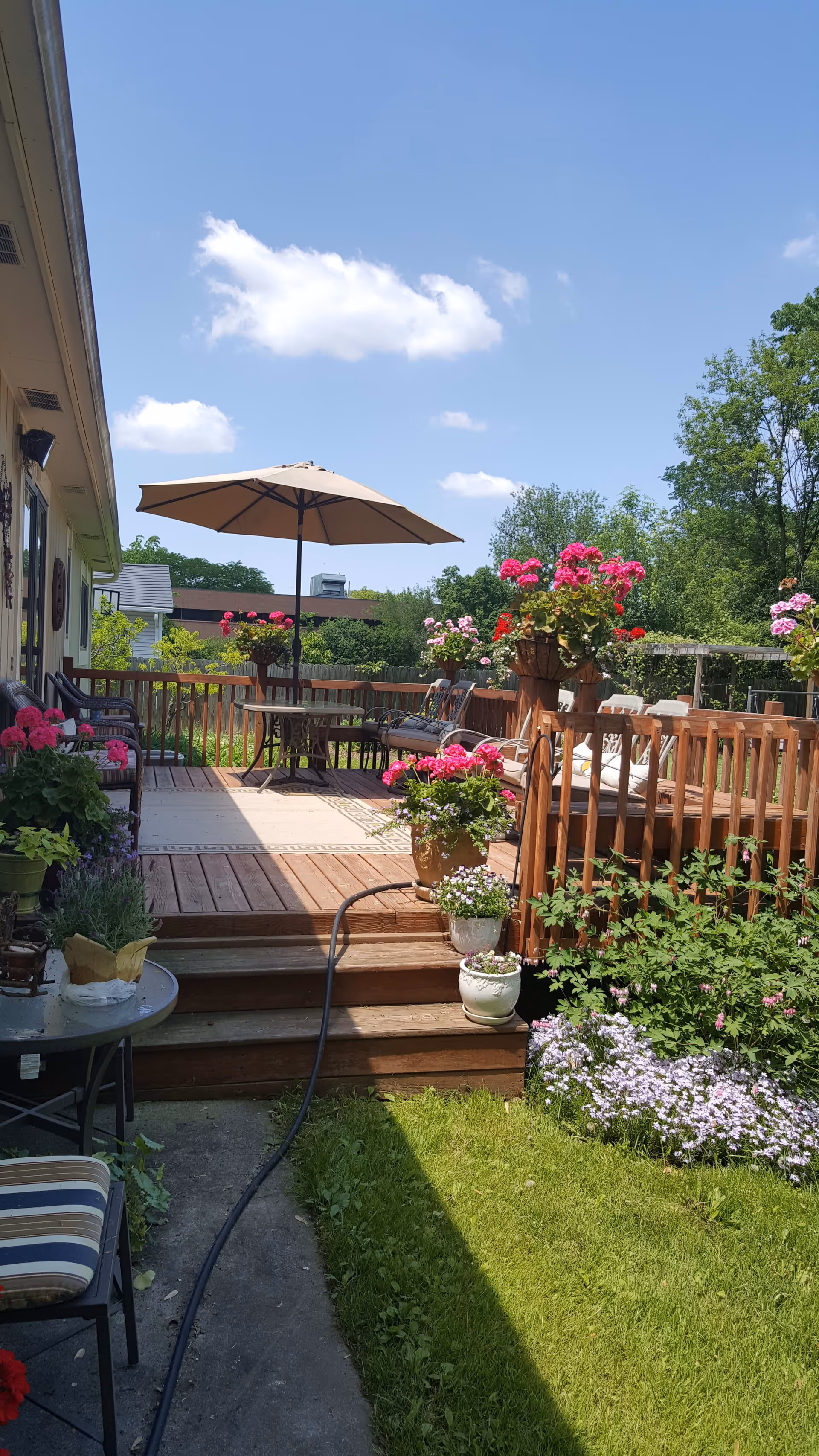 A sunny outdoor patio area with wooden decking, several potted flowering plants, a table with an umbrella, and chairs. The patio is surrounded by greenery and flowers, with a clear blue sky and some clouds above.