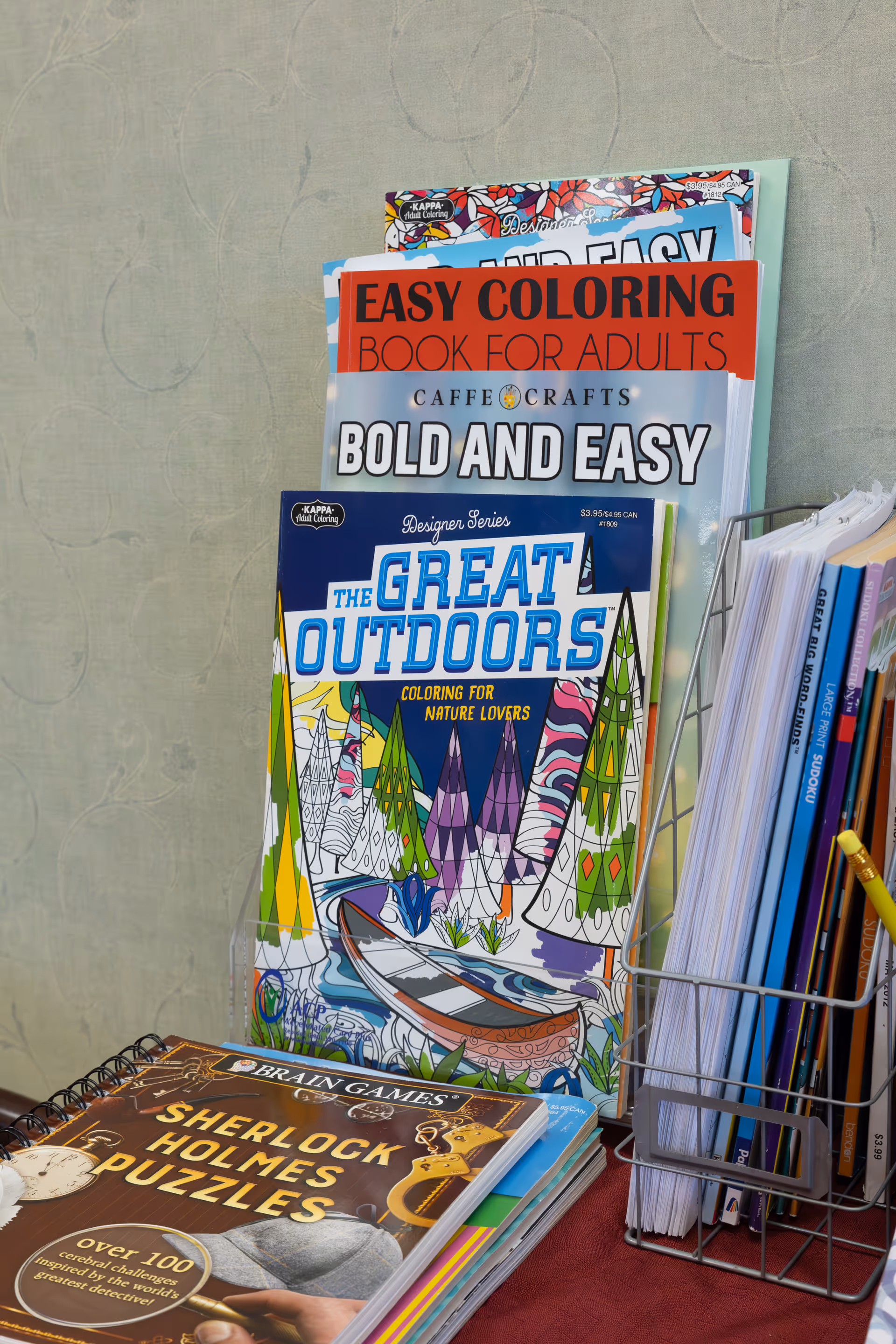 A collection of adult coloring books and puzzle books displayed on a table and in a wire rack. Titles include 'Easy Coloring Book for Adults,' 'Bold and Easy,' 'The Great Outdoors Coloring for Nature Lovers,' and 'Sherlock Holmes Puzzles.'