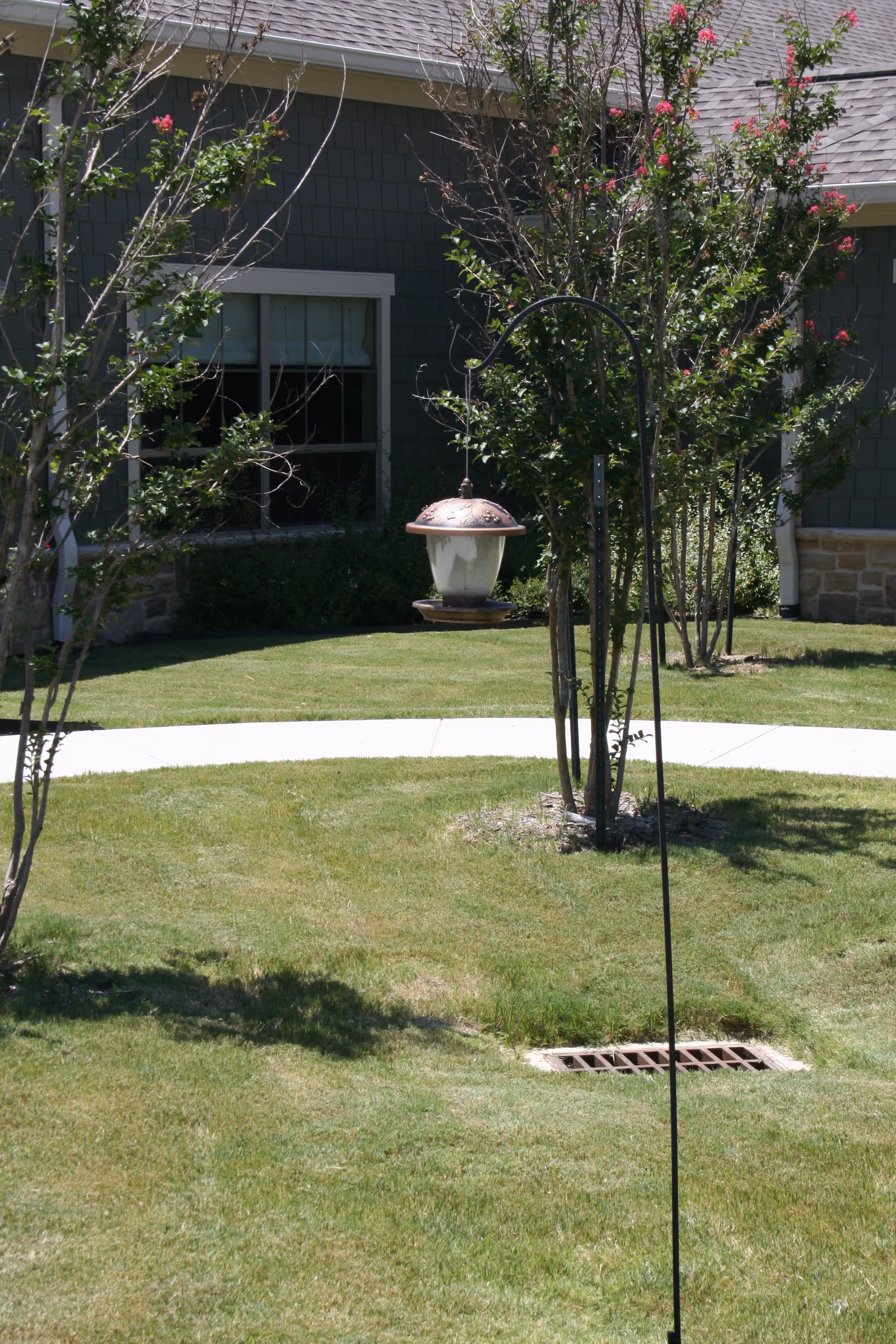 A green lawn with a curved concrete pathway, small trees with some pink flowers, and a hanging bird feeder on a metal pole in front of a building with green siding and a window.