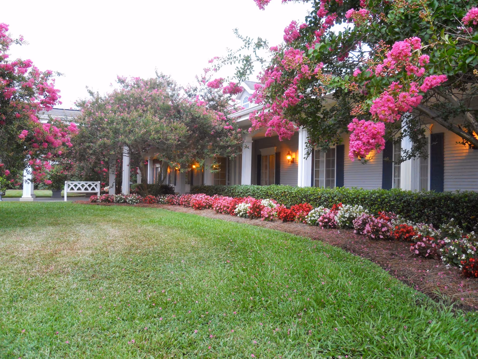 Front exterior of a single-story building with a covered porch, white columns, blooming pink trees and a manicured lawn.