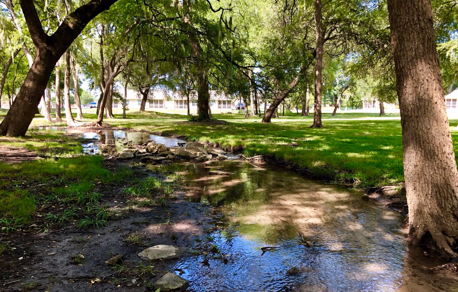A peaceful outdoor scene at The Lodge at Leon Springs featuring a small creek flowing through a grassy area with large trees providing shade. In the background, buildings of the facility are visible under a bright sky.