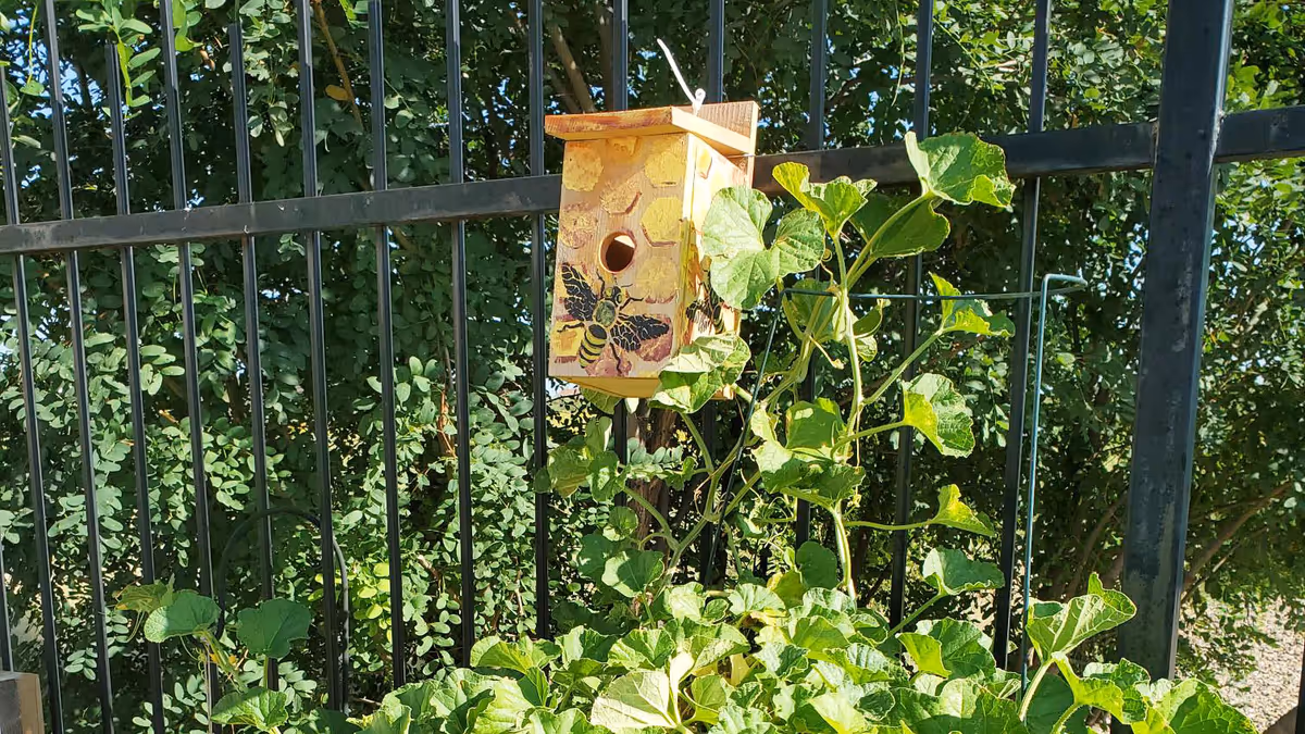 A small wooden birdhouse painted with a bee and honeycomb design is mounted on a black metal fence. Green leafy plants grow around the base of the fence, and trees with dense foliage are visible in the background under a clear blue sky.