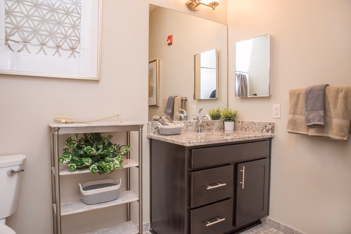 A clean and modern bathroom featuring a dark wood vanity with a granite countertop and a sink. Above the vanity is a large mirror with a smaller medicine cabinet mirror on the side. To the left, there is a white toilet and a small shelving unit with a green plant and a basket. On the right wall, two towels are hanging on a towel rack. The walls are painted a light beige color, and there is a framed abstract artwork above the shelving unit.