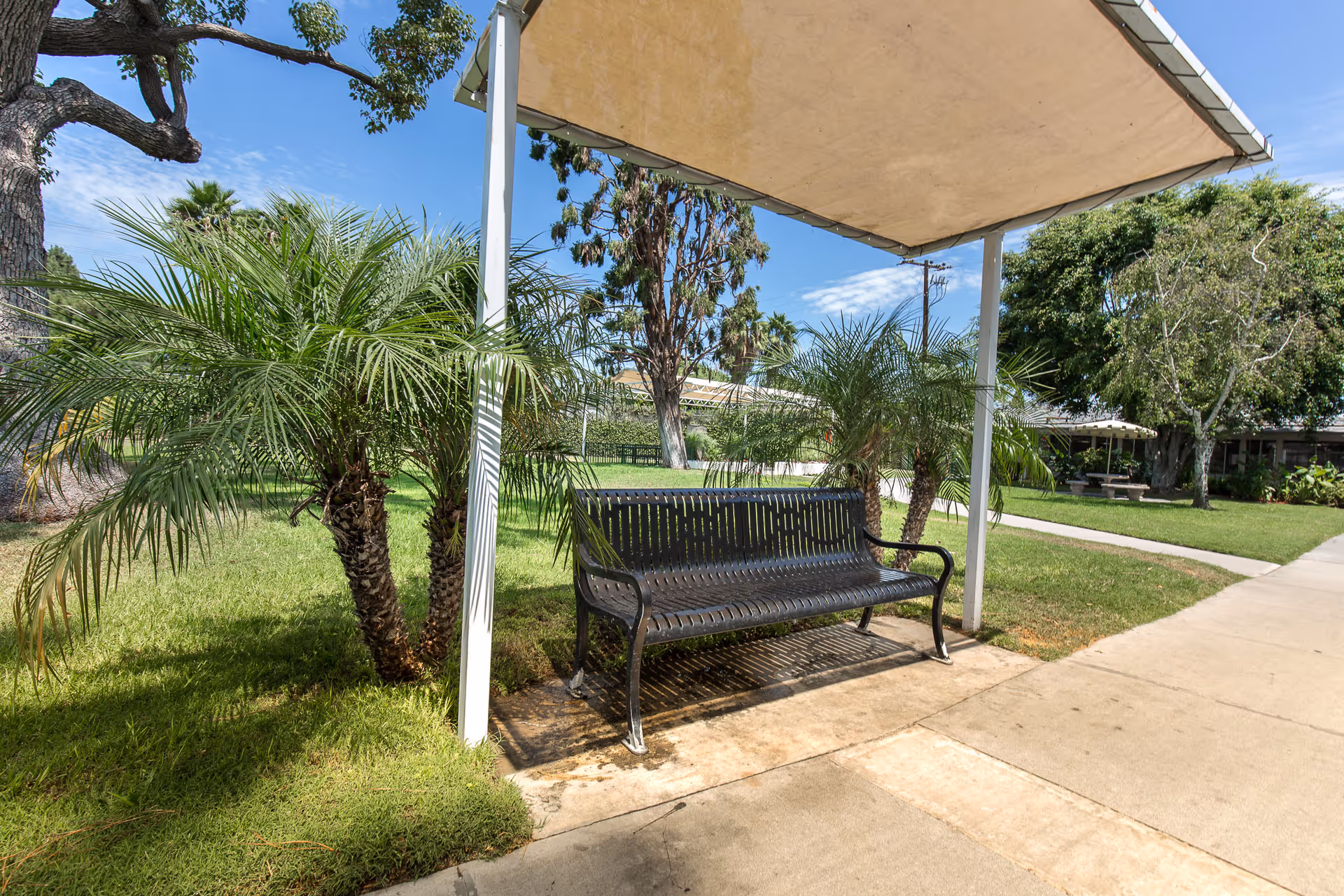 A black metal bench under a beige canopy in a grassy outdoor area with palm trees and other greenery. A concrete walkway runs alongside the bench, and there are more trees and a picnic table visible in the background under a clear blue sky.