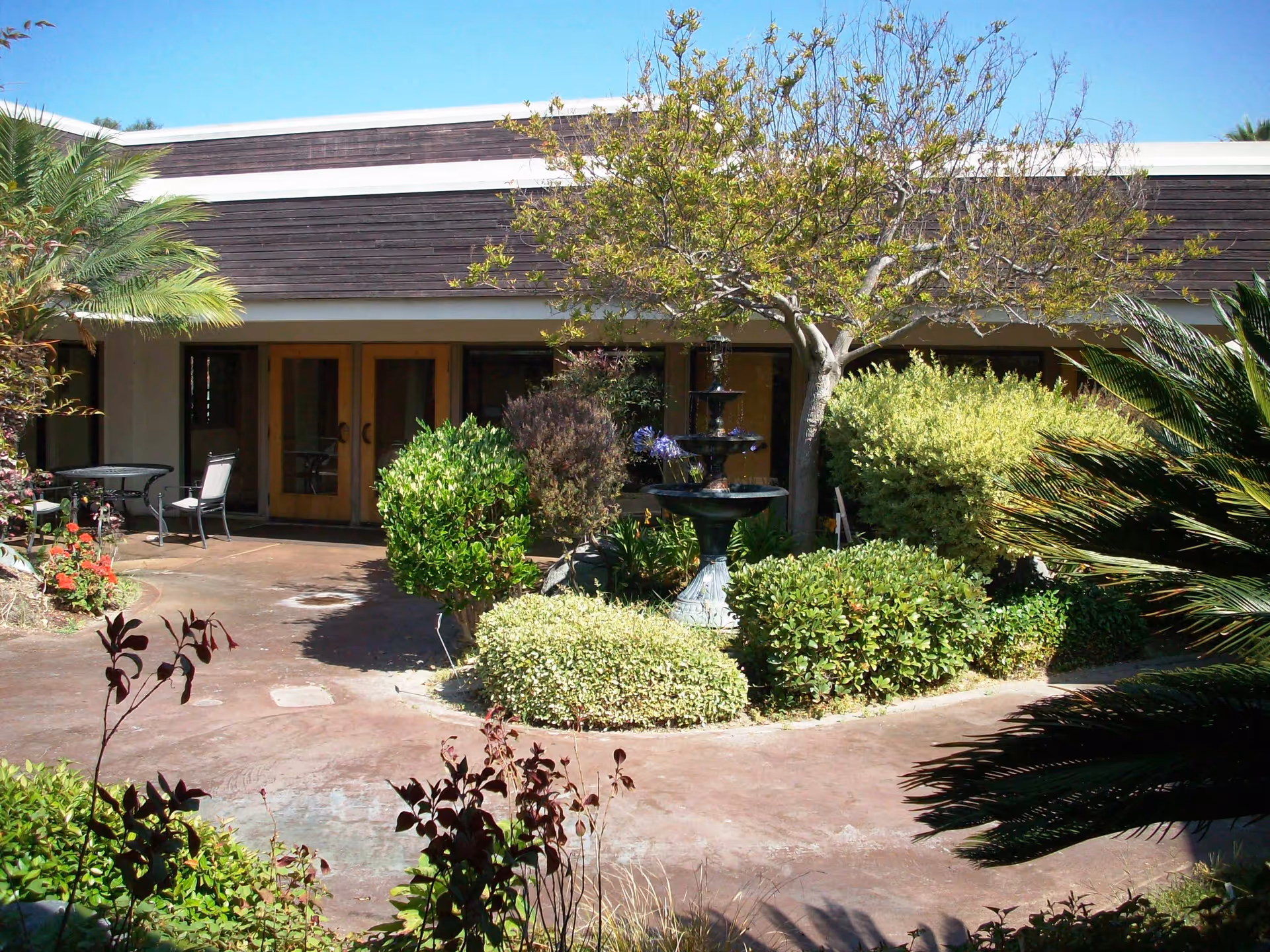 Outdoor courtyard area with a variety of green shrubs, a small tree, and a three-tiered black water fountain in the center. There are glass doors leading into a building in the background, and a small table with chairs is visible on the left side. The sky is clear and blue.