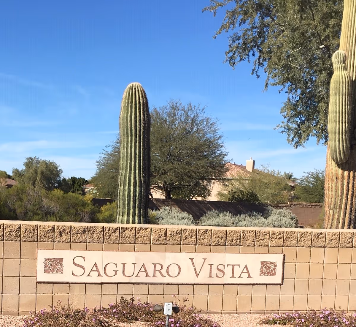 Entrance sign reading "Saguaro Vista" on a brick wall with large saguaro cacti and houses behind under a blue sky.