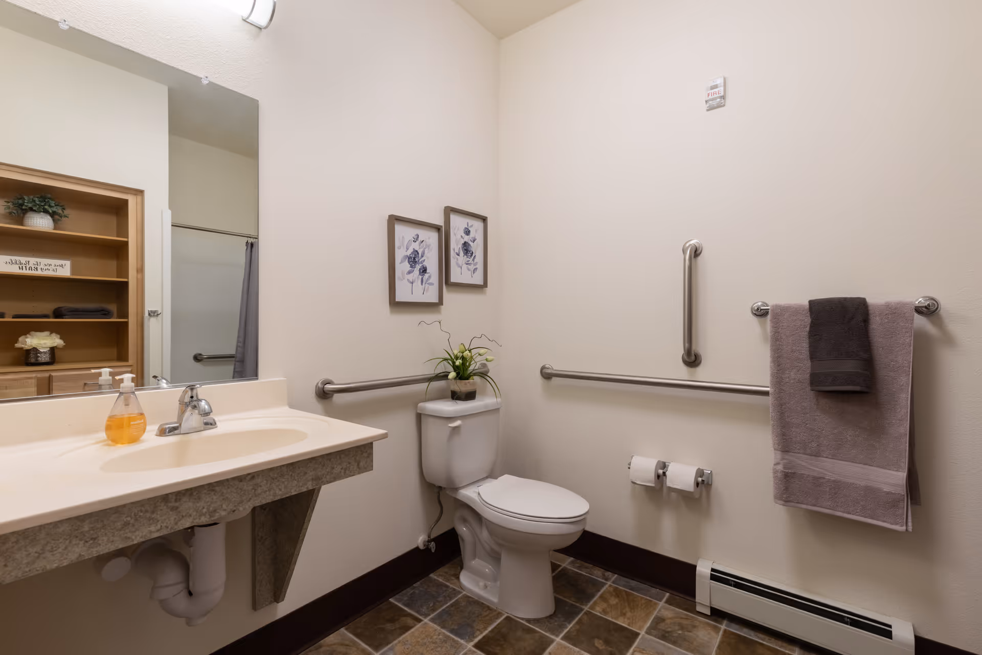 A clean and accessible bathroom with a toilet, a sink with a soap dispenser, grab bars on the walls, two framed floral pictures above the toilet, a towel rack with two towels, and a small plant on the toilet tank. The floor has multi-colored tiles and the walls are painted light beige.