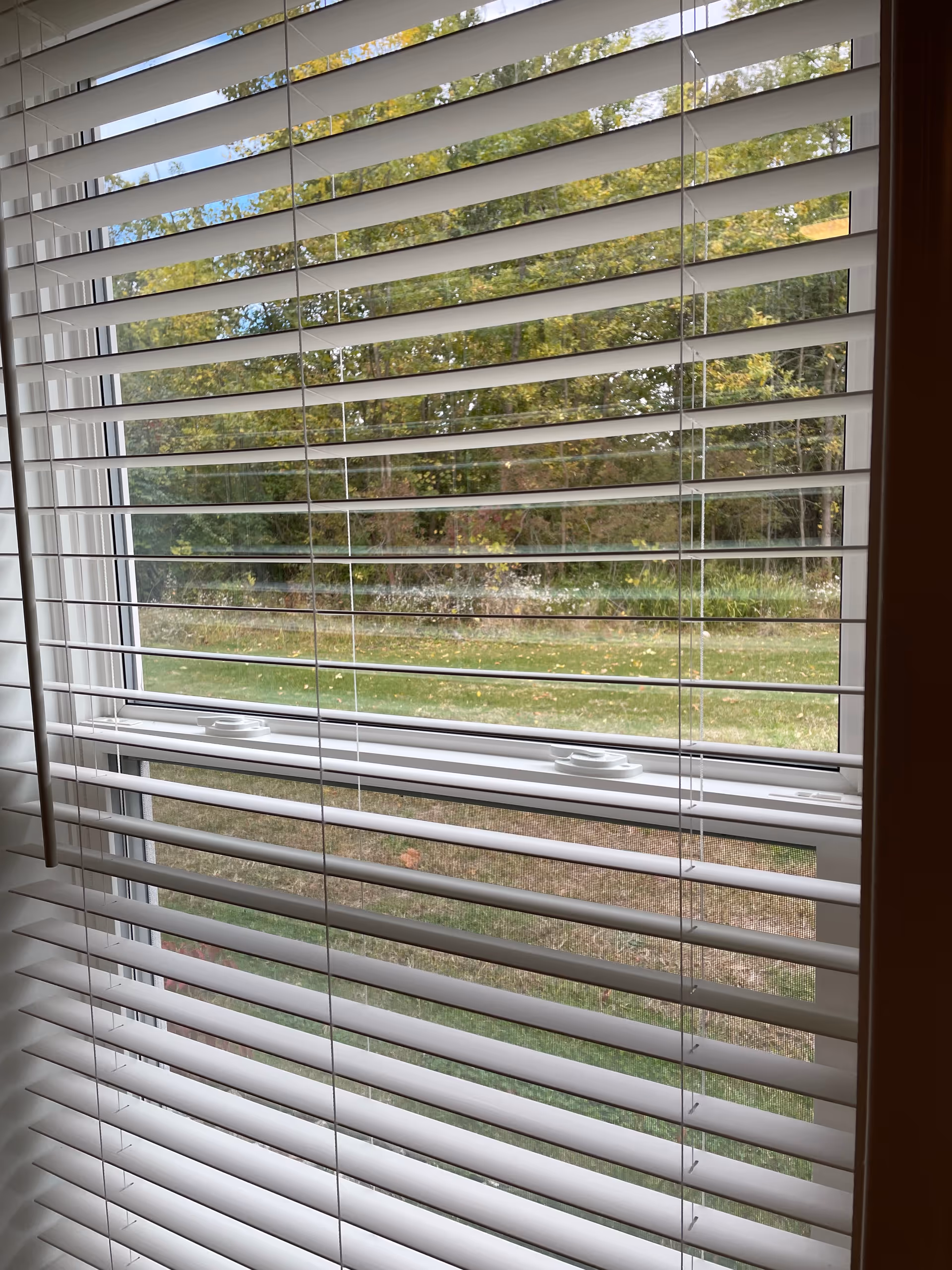 View through white horizontal window blinds showing a grassy area and trees with green and yellow leaves outside.