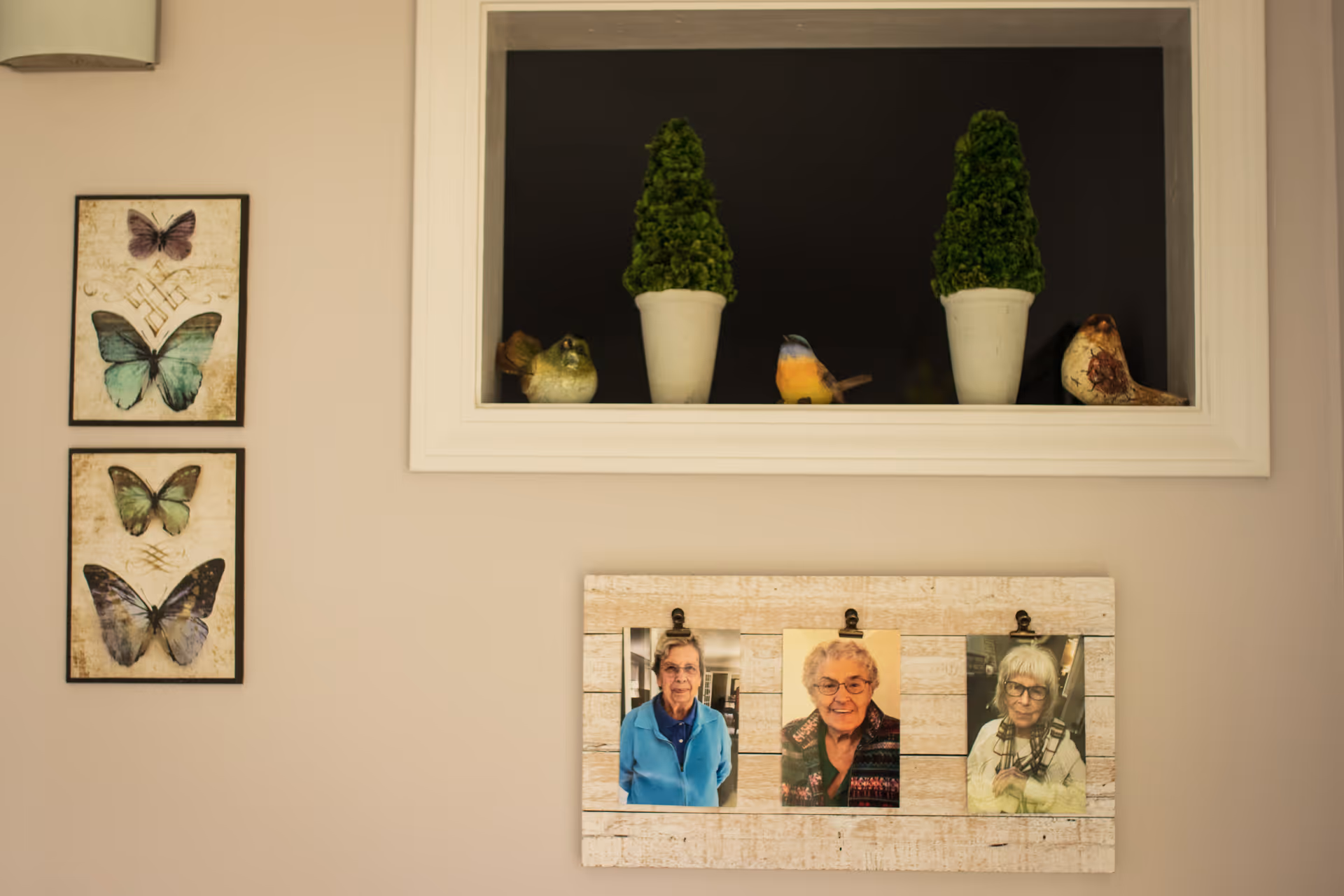 A beige wall decorated with three framed butterfly pictures on the left, a white-framed recessed shelf holding two small potted topiary plants and three small bird figurines, and a wooden photo display board with three pictures of elderly women clipped to it.