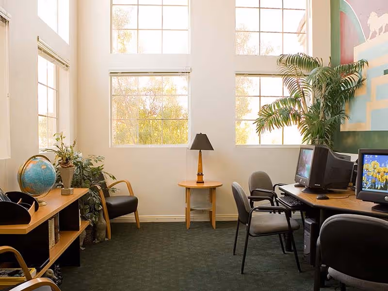 A bright room with large windows letting in natural light, featuring a small round wooden table with a lamp in the center, a wooden shelf with a globe and plants on the left, and a desk with two computer monitors and chairs on the right. There are also several potted plants adding greenery to the space.