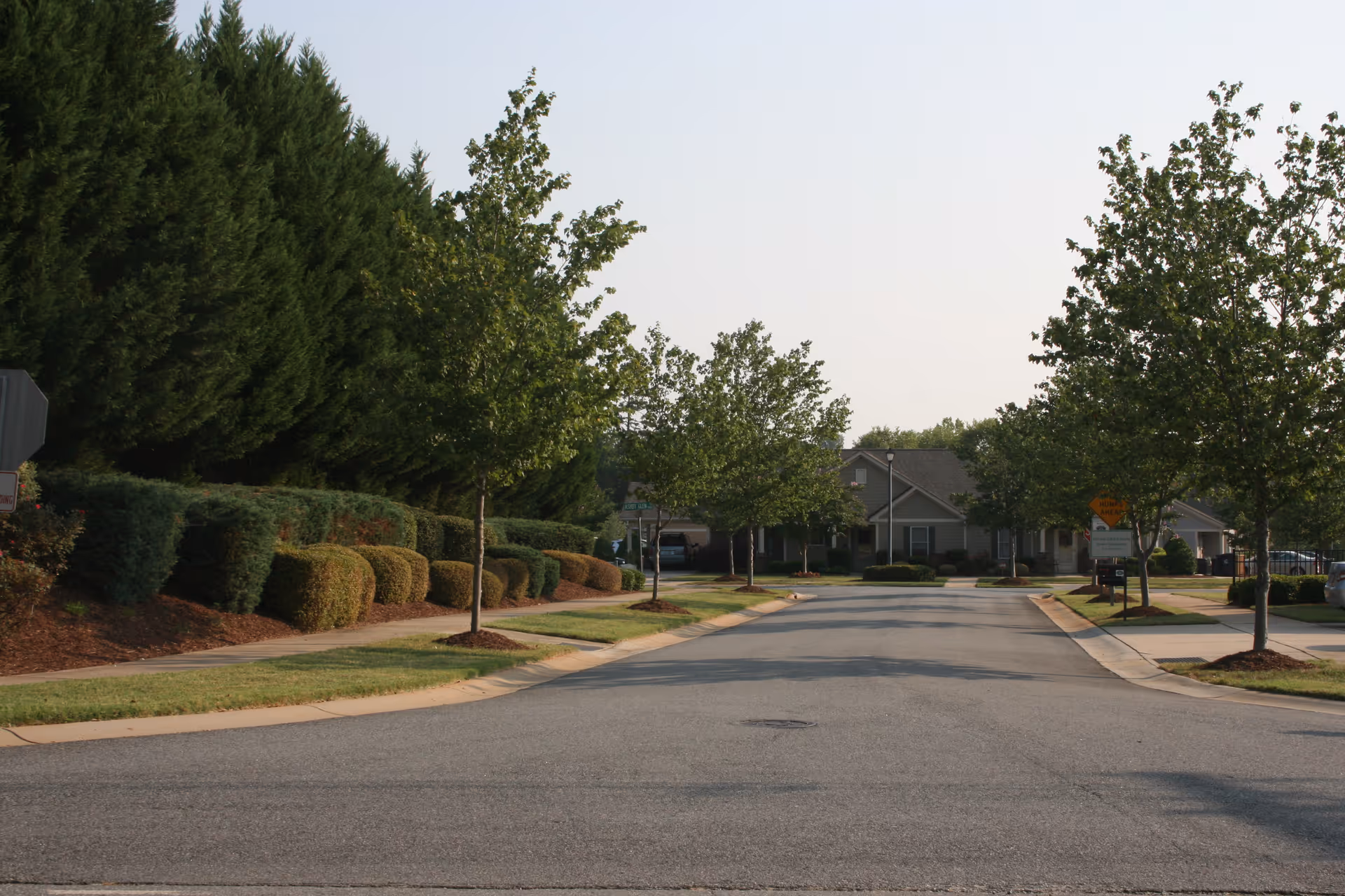 A quiet residential street lined with neatly trimmed bushes and trees on both sides, leading to single-story houses in the background under a clear sky.
