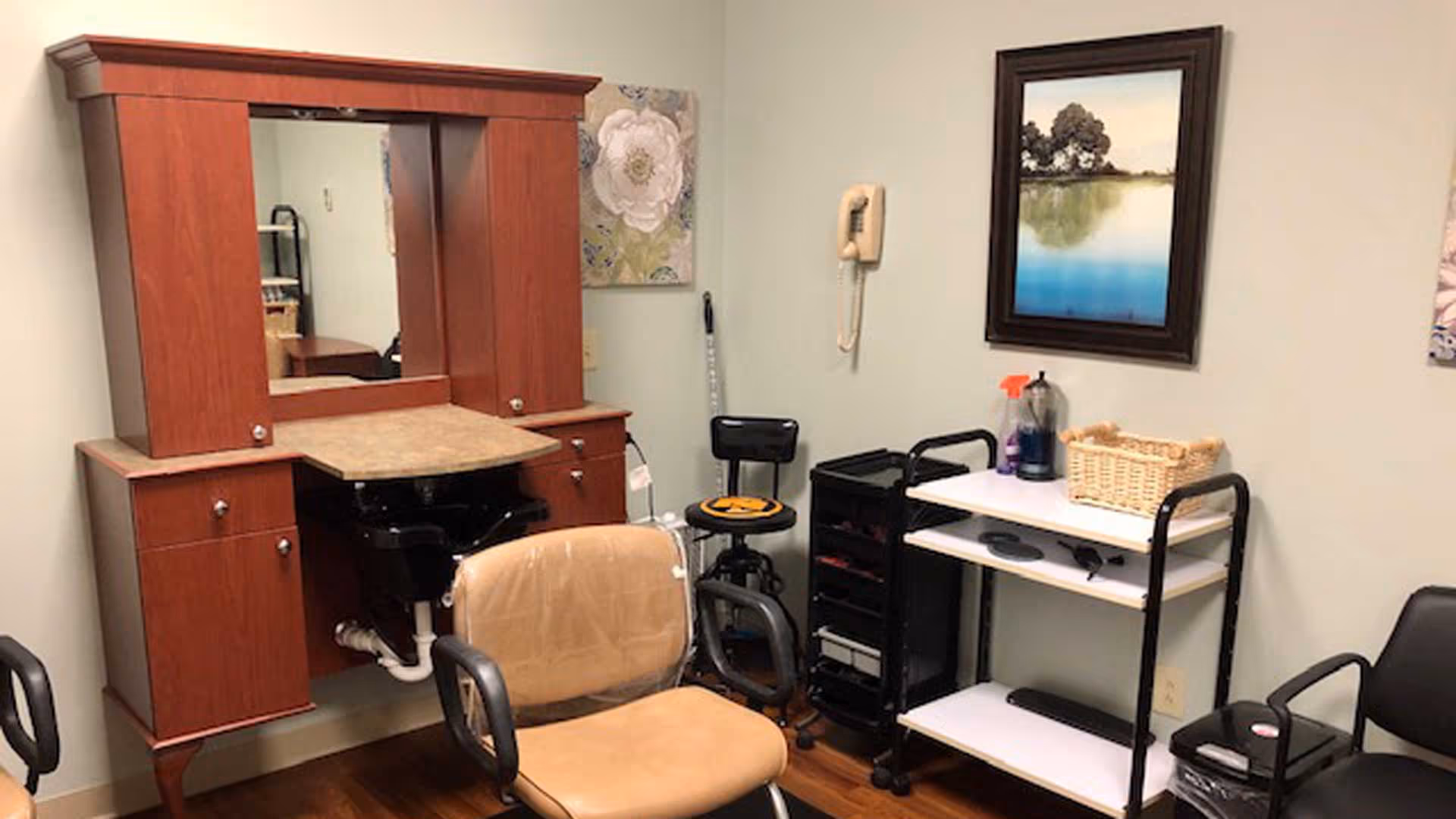 A small salon or grooming area with a wooden vanity featuring a mirror and a black sink, a beige salon chair in front of it, a black rolling stool, a white and black rolling cart with cleaning supplies and a basket, a black chair, and a wall-mounted beige telephone. The walls are decorated with floral and landscape paintings.