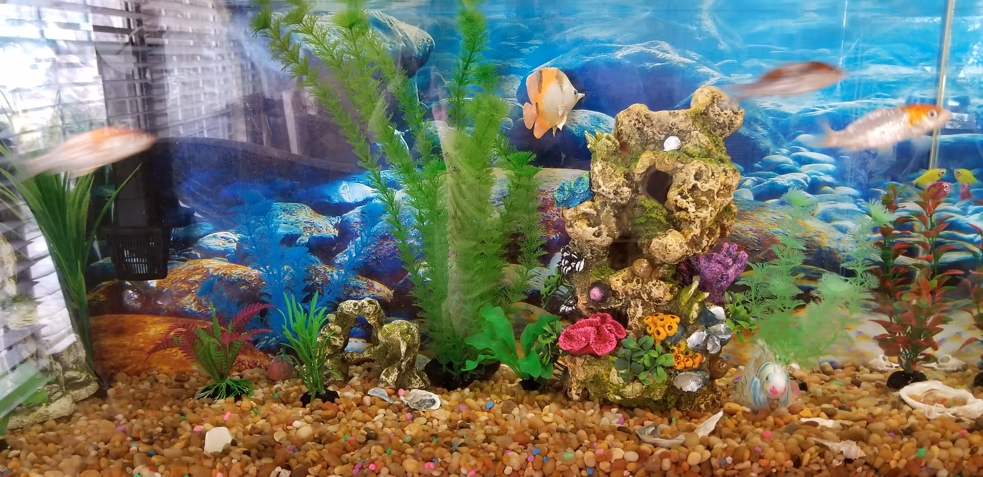 A colorful aquarium with various small fish swimming among artificial plants and decorative rocks, with a backdrop depicting an underwater scene.