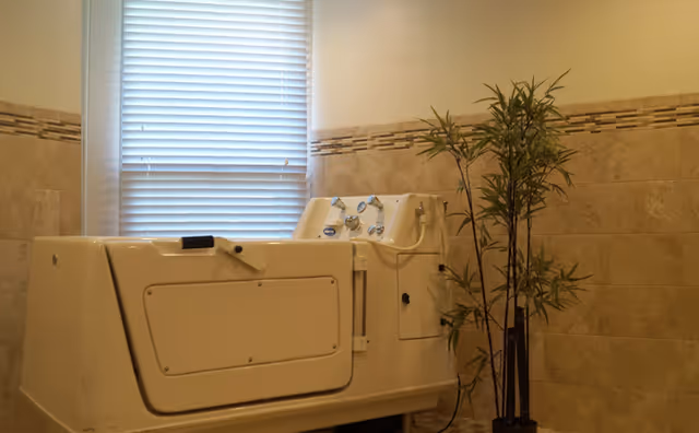 Walk-in bathtub in a tiled bathroom with a window and a potted bamboo plant.