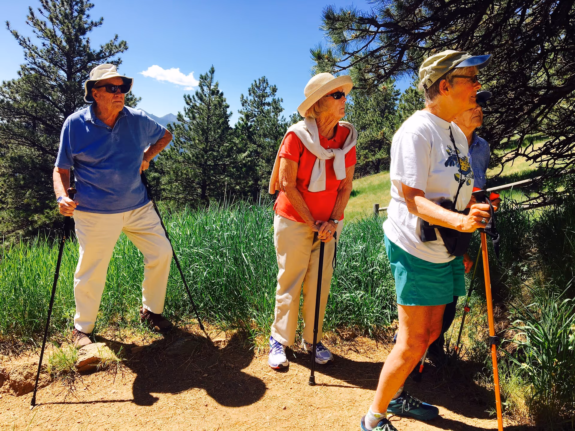 Four elderly people standing outdoors on a dirt path surrounded by green grass and trees, holding walking sticks and wearing hats and sunglasses on a sunny day.
