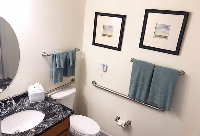 A clean bathroom with a white toilet and a black marble countertop sink. There are teal towels hanging on silver towel bars on the wall, along with two framed pictures above the towels. A tissue box is placed on the countertop next to the sink, and a grab bar is installed on the wall beside the toilet.