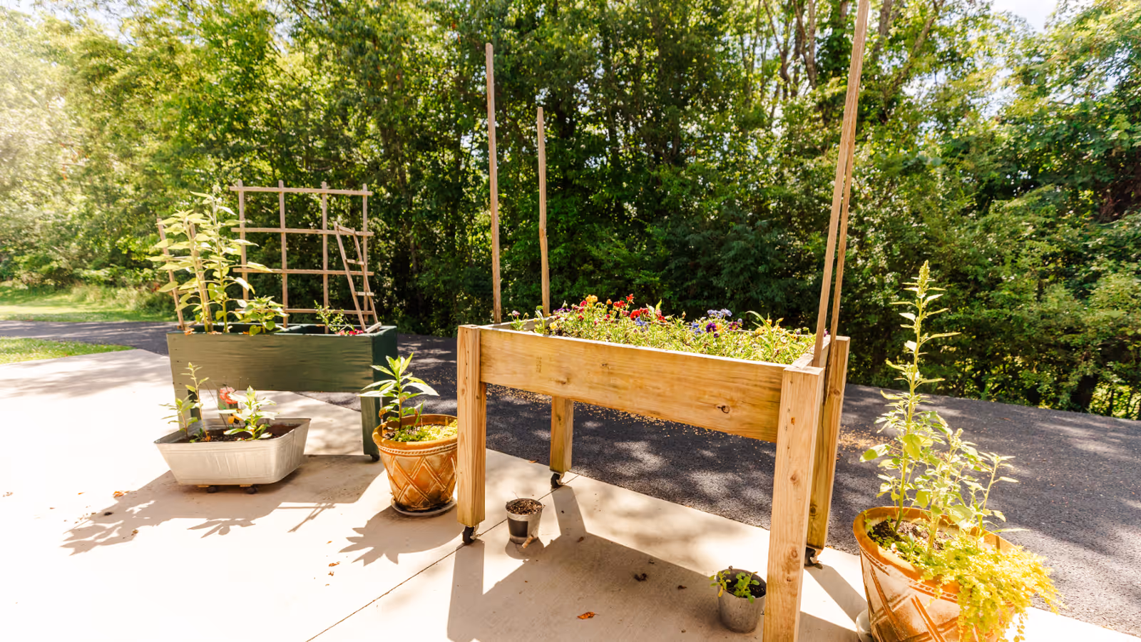 Outdoor patio area with several potted plants and a raised wooden planter box filled with flowers, surrounded by lush green trees and bushes in the background.