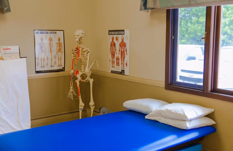 A medical examination or therapy room with a blue padded table topped with three white pillows near a window. On the wall behind the table are two anatomical posters showing the skeletal and muscular systems. A human skeleton model stands in the corner of the room.