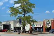 Street view of a commercial area with multiple storefronts under a clear blue sky. There is a large tree in the center near the sidewalk, several parked cars, and banners hanging from streetlights.