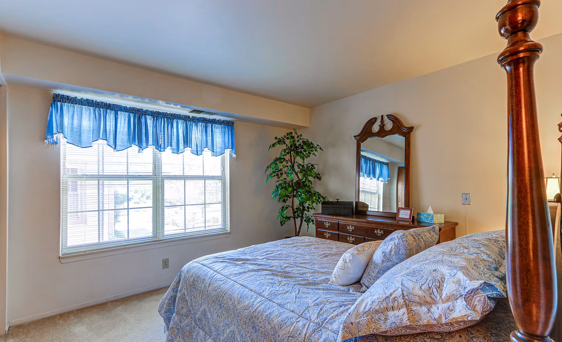A bedroom with a large window covered by blue curtains, a bed with patterned bedding and pillows, a wooden dresser with a mirror, and a potted plant in the corner.