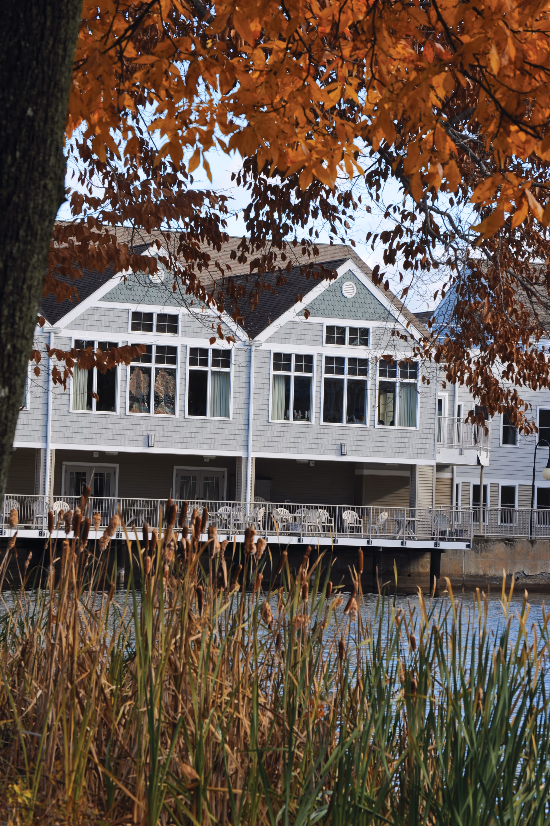 White lakeside building with a covered deck and rows of chairs, seen through autumn foliage and reeds.