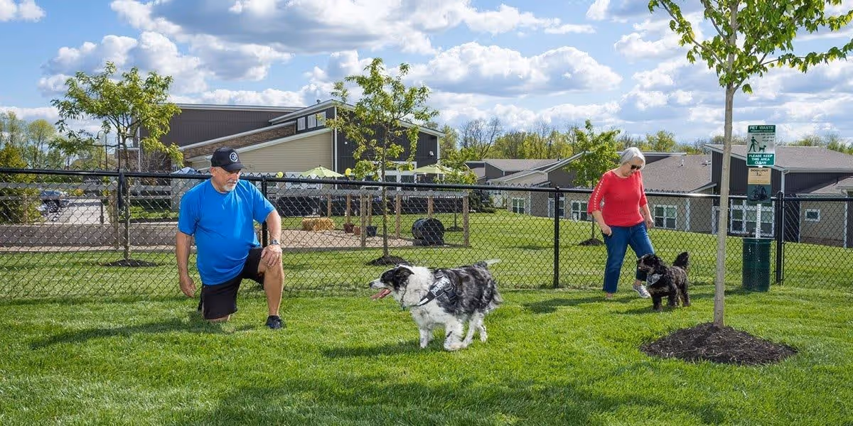 An elderly man in a blue shirt and black cap kneels on the grass next to a black and white dog wearing a harness in a fenced outdoor area. An elderly woman in a red shirt and sunglasses walks another small black dog nearby. Trees, buildings, and a sign about pet waste are visible in the background under a partly cloudy sky.