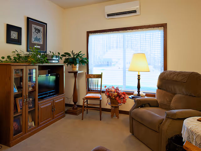 A cozy living room with a large window covered by sheer curtains, a brown recliner chair, a wooden chair, a wooden cabinet with a TV and plants on top, a floor lamp, and framed artwork on the wall.