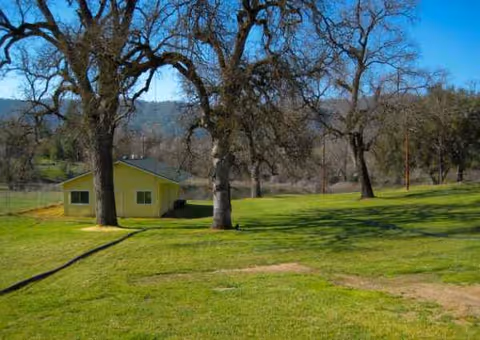 A small yellow building sits in a grassy field with leafless trees nearby.