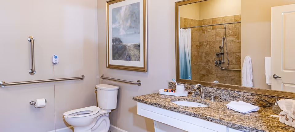 A clean and accessible bathroom featuring a white toilet with grab bars on the walls for support, a granite countertop with a sink, a large mirror above the sink, and a shower area with a curtain and tiled walls visible in the mirror reflection. A framed landscape painting hangs on the wall above the toilet.