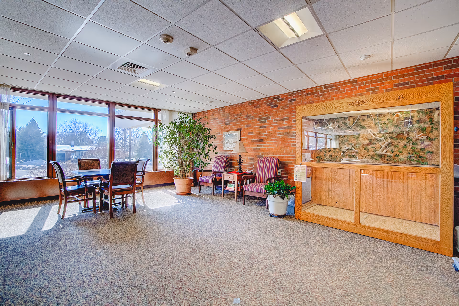 A bright common area with large windows letting in natural light, featuring a small table with four chairs, two striped armchairs with a side table and lamp between them, several potted plants, and a large wooden-framed bird display case against a brick wall.