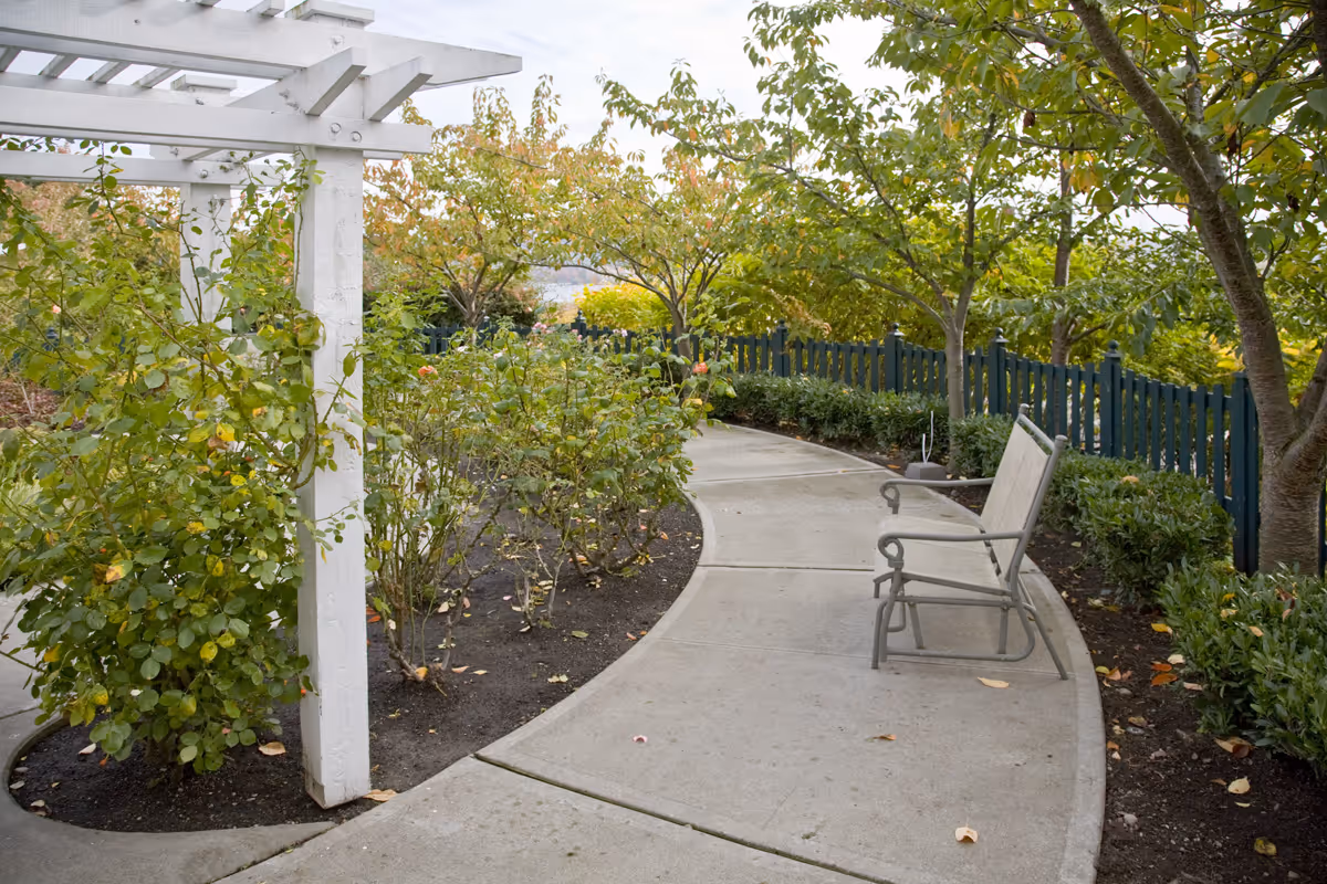 A curved concrete pathway in a garden area with green bushes and trees on both sides. There is a white wooden pergola on the left and a metal bench with beige fabric on the right side of the path. A dark green fence runs along the right side of the garden.