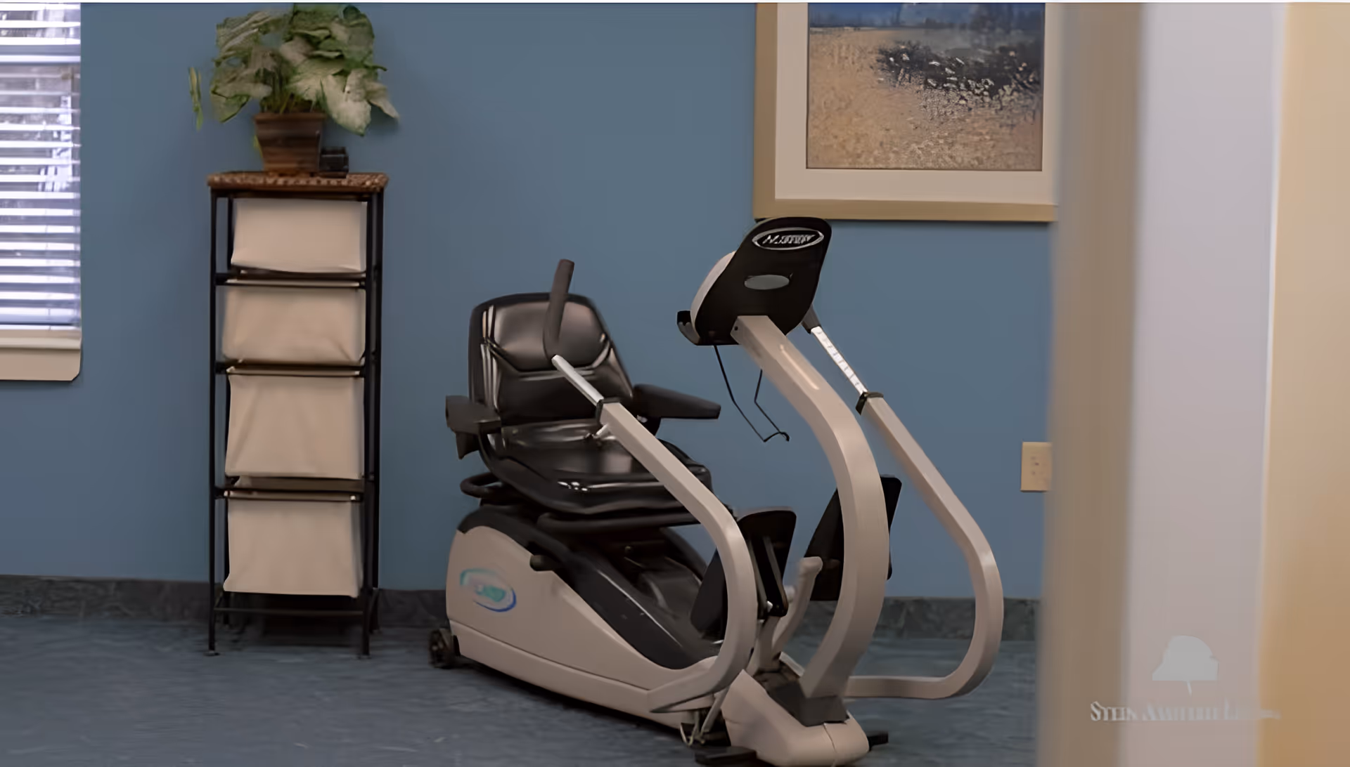 A recumbent exercise bike positioned against a blue wall in a room. To the left of the bike is a small black shelving unit with four beige fabric drawers and a potted plant on top. A framed abstract painting hangs on the wall above the bike. A window with blinds is partially visible on the left side of the image.