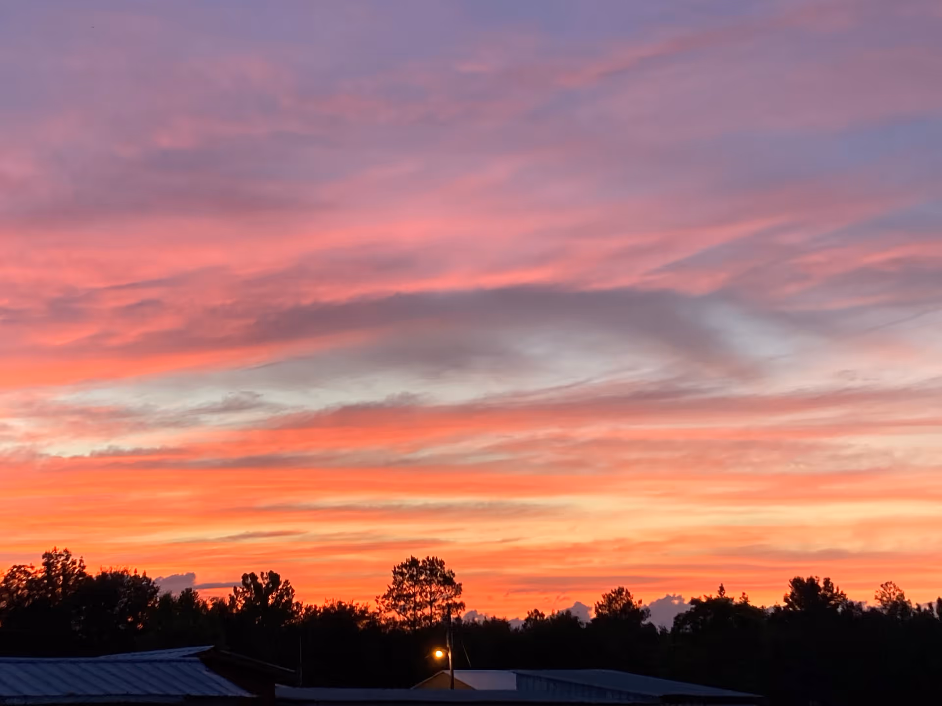 Vivid pink and orange sunset sky above silhouetted trees and rooftops.
