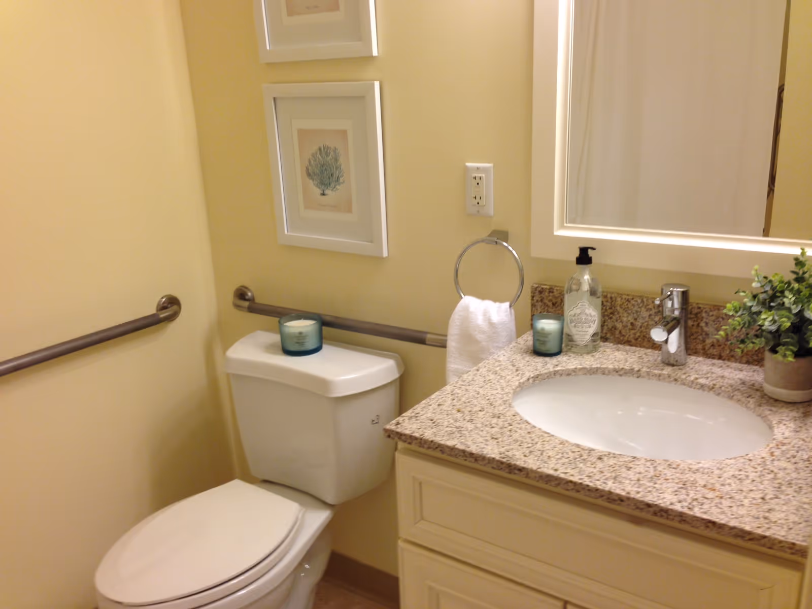 Accessible bathroom with a toilet, wall grab bars, a granite vanity with sink and mirror, and decorative items.