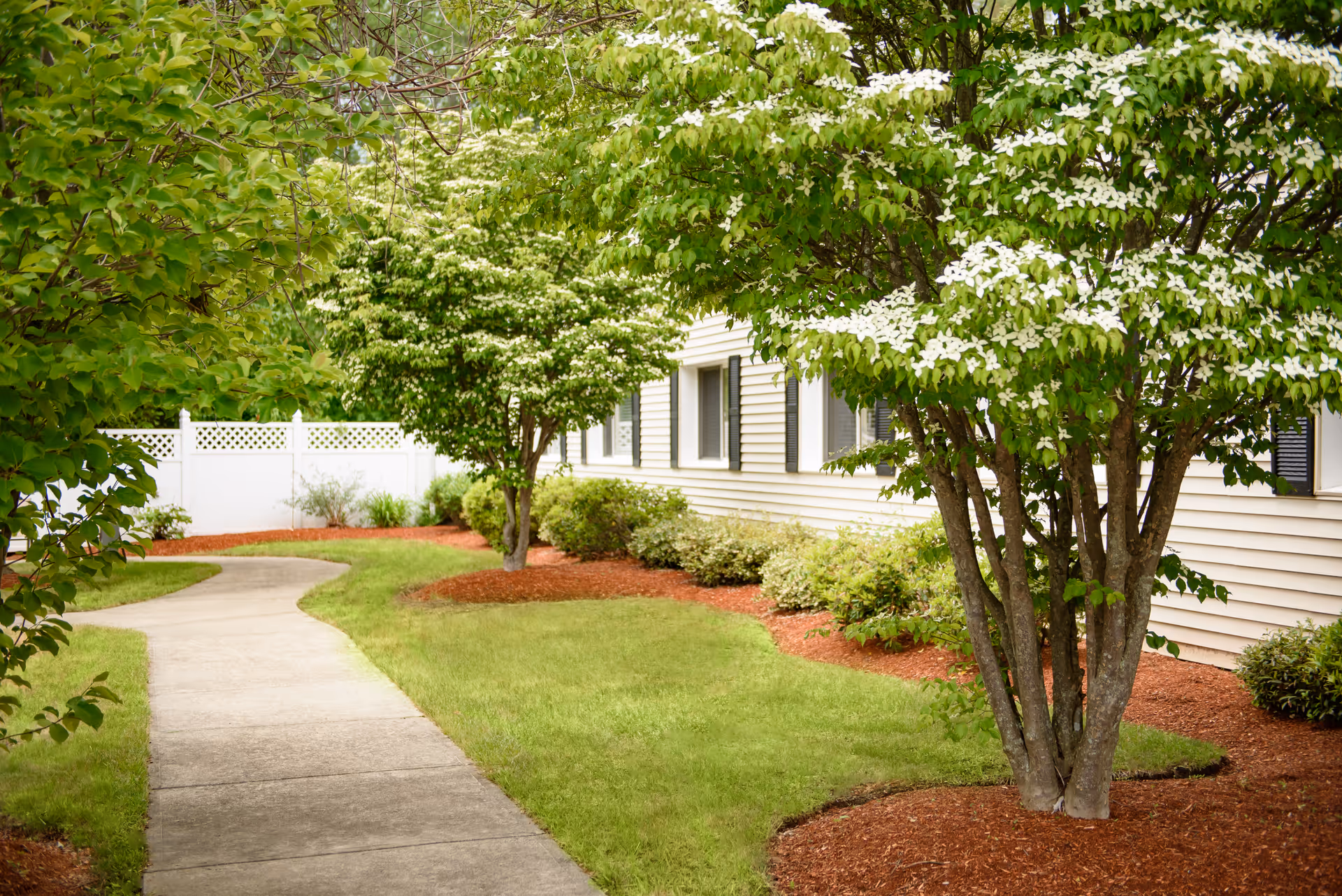 Curved concrete walkway through a landscaped lawn with flowering trees and mulch alongside a light-colored building and white fence.