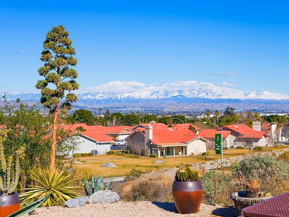 View of a senior living community with single-story homes featuring red roofs, surrounded by desert landscaping with various cacti and plants in the foreground. Snow-capped mountains are visible in the background under a clear blue sky.