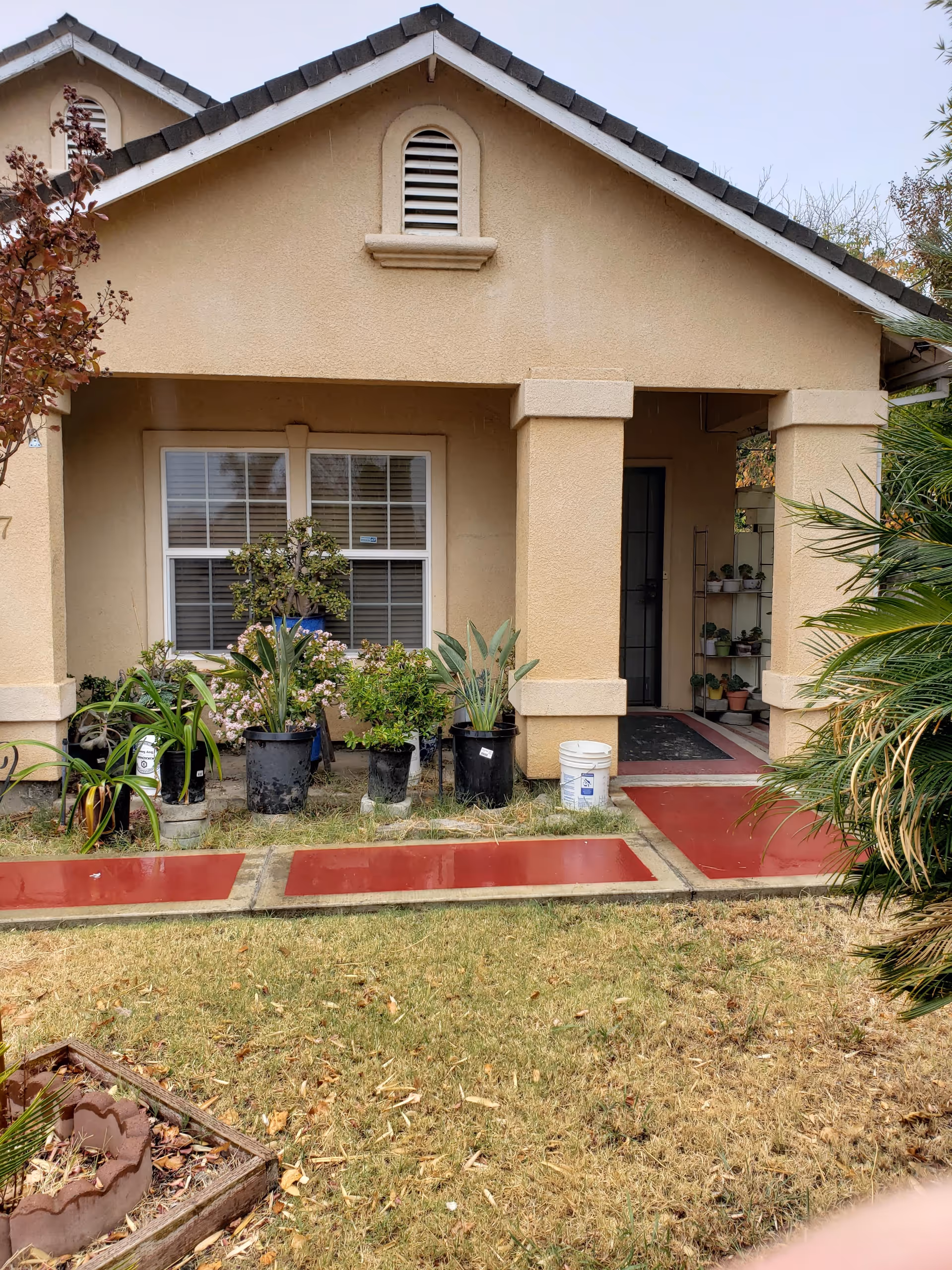 Front exterior view of a beige residential building with a small porch area. Several potted plants are arranged in front of a window with white blinds. There is a red walkway leading to the entrance door, and a grassy lawn with some dry patches is visible in the foreground.