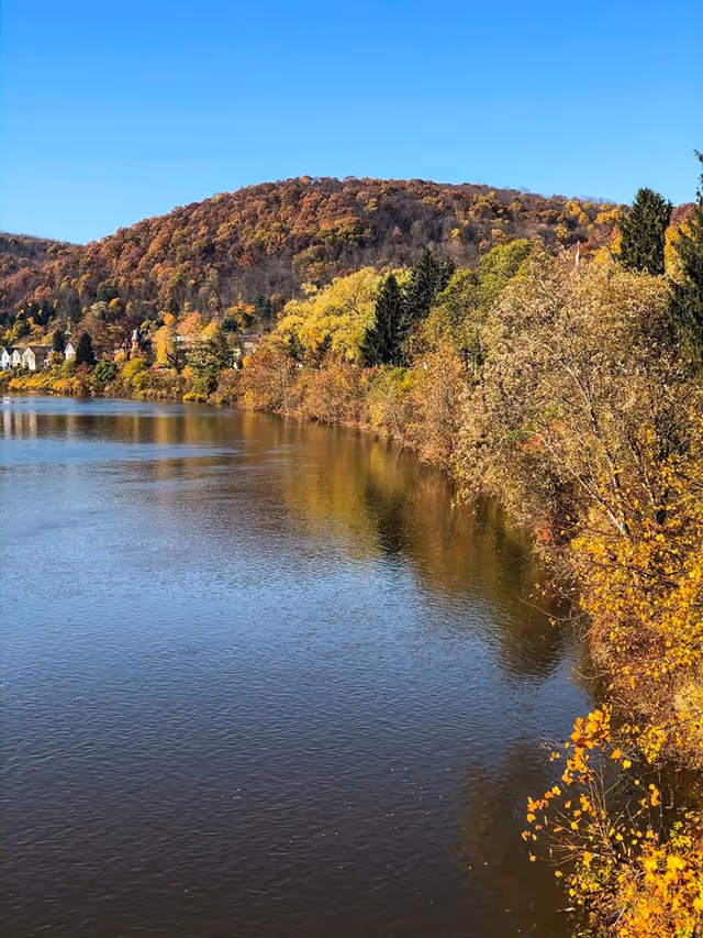 A scenic view of a calm river bordered by trees with autumn foliage in shades of yellow, orange, and green. In the background, there is a forested hill under a clear blue sky.